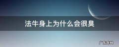 法牛为什么那么臭 法牛身上为什么会很臭