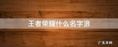 王者荣耀什么名字浪 王者荣耀最浪的名字以及最骚气名字(2
