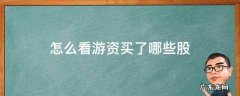 怎么看游资买了哪些股 怎么看游资买入股票