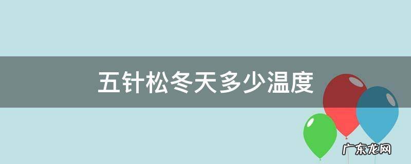 五针松冬天多少温度 五针松越冬温度