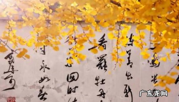 中国独有 银杏树作为国树的原因