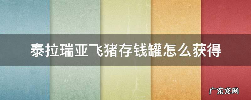 泰拉瑞亚怎么收回飞猪存钱罐 泰拉瑞亚飞猪存钱罐怎么获得