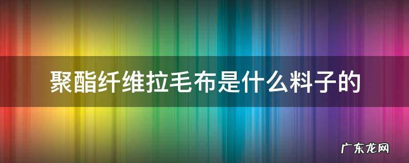 聚酯纤维的布料粘毛吗 聚酯纤维拉毛布是什么料子的