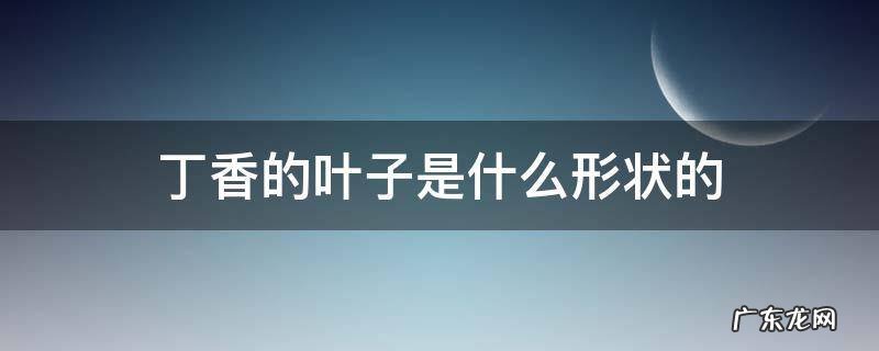 丁香的叶子是什么形状的 丁香分为什么和什么,丁香的叶子是什么形状的
