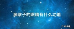 黑瞎子的眼睛是怎么回事 黑瞎子的眼睛有什么功能