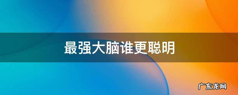 最强大脑谁最聪明 最强大脑谁更聪明
