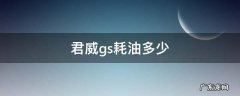 君威gs耗油多少 君威gs油耗多少真实油耗多少