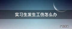 实习生发生工伤怎么办
