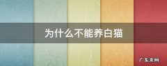 为什么不能养白猫 养白猫不好吗