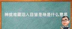 神威难藏泪,入目皆是琳是什么意思 神威难藏泪入目皆是琳是什么意思