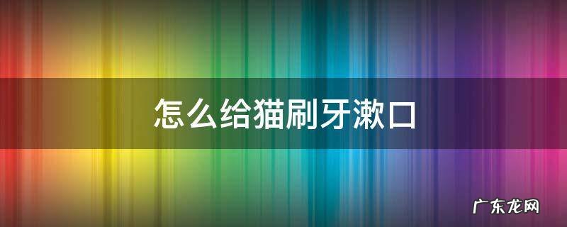 怎么给猫刷牙漱口 如何给猫漱口