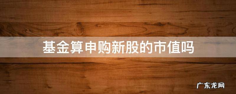 基金算申购新股的市值吗 申购新股市值包含基金吗