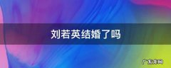 刘若英结婚了吗!老公是谁 刘若英结婚了吗