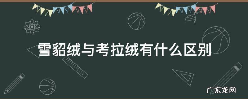 貂绒和考拉绒哪个保暖 雪貂绒与考拉绒有什么区别