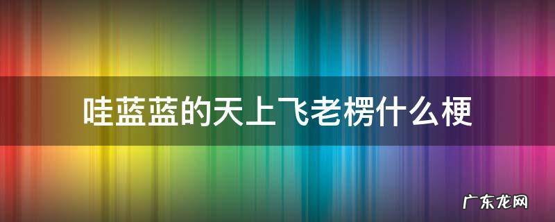 哇蓝蓝的天上飞老楞什么梗 瓦蓝蓝的天上飞老楞 什么梗