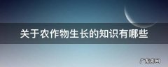 关于农作物生长的知识有哪些 农作物生长小知识