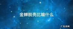 金蝉脱壳比喻什么 金蝉脱壳比喻什么样的人