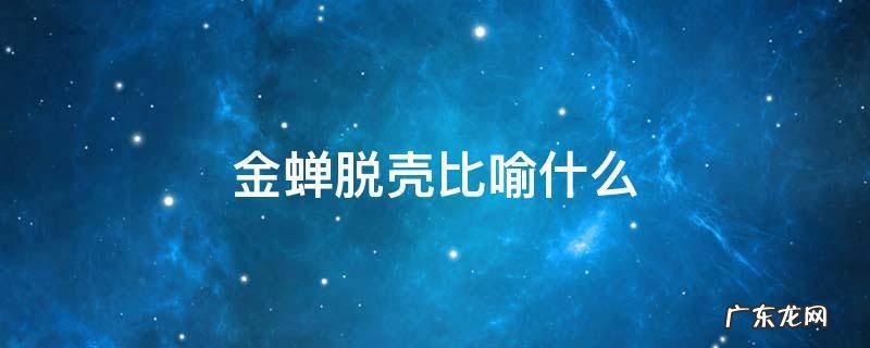 金蝉脱壳比喻什么 金蝉脱壳比喻什么样的人