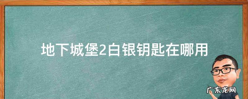 地下城堡2白银钥匙在哪用 地下城堡2白银钥匙在哪用 白银有什么用