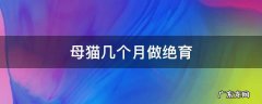 暹罗母猫几个月做绝育 母猫几个月做绝育