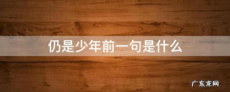 愿你归来仍是少年前一句是什么 仍是少年前一句是什么
