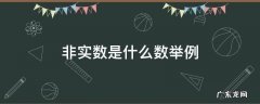 非实数是什么数举例 非实数的例子