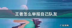 王者怎么举报自己队友 如何有效举报王者队友