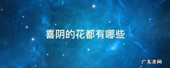 喜阴的花都有哪些 喜阴的花都有哪些 好看好养