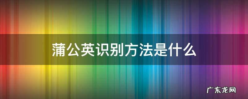 蒲公英识别方法是什么 蒲公英的识别