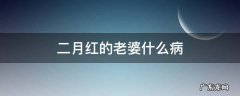 二月红的老婆什么病 二月红老婆叫什么名字