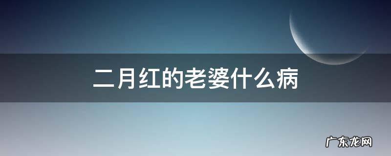 二月红的老婆什么病 二月红老婆叫什么名字