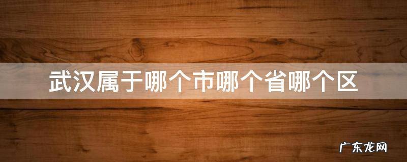 武汉属于哪个省份哪个市 武汉属于哪个市哪个省哪个区