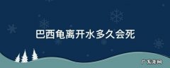 巴西龟离开水会不会死 巴西龟离开水多久会死
