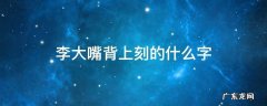 李大嘴背上刻的什么字 李大嘴背上刻的什么字是多少集