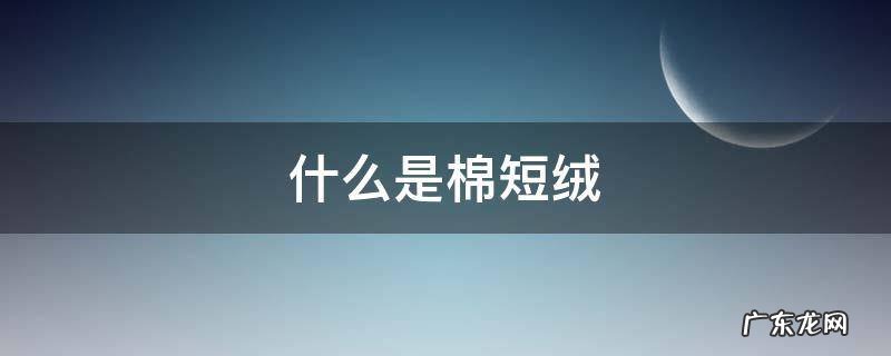 棉短绒有什么用途 什么是棉短绒