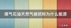 煤气石油天然气是什么能源 煤气石油天然气被统称为什么能源