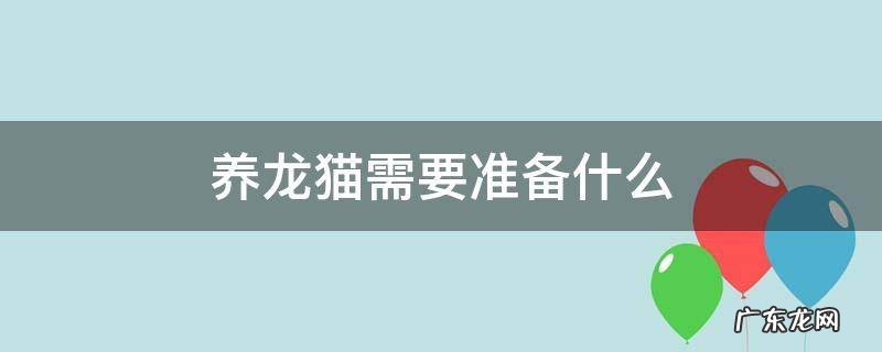 养龙猫需要准备什么 养龙猫需要准备什么药