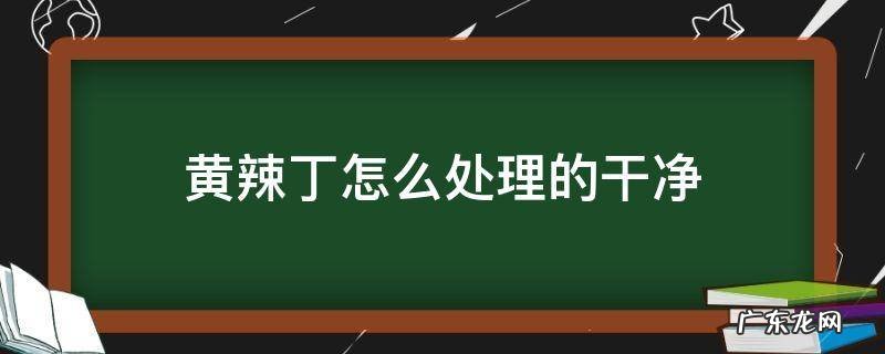 黄辣丁怎么处理的干净 黄辣丁怎么处理才干净