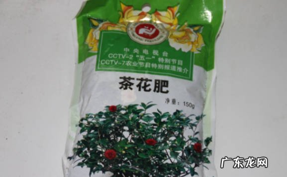 有机肥料 茶花树施什么肥料最好 什么肥料最养茶花树