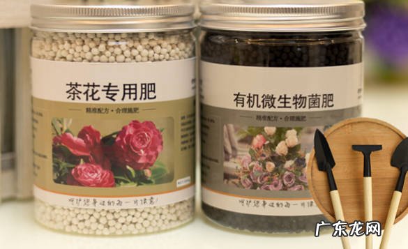 有机肥料 茶花树施什么肥料最好 什么肥料最养茶花树
