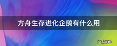 方舟生存进化企鹅有什么用 方舟生存进化手游企鹅可以干什么