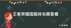 王者荣耀查看国服排名 王者荣耀国服排名哪里看