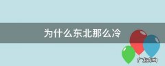 为什么东北那么冷,冷饮还是受欢迎 为什么东北那么冷