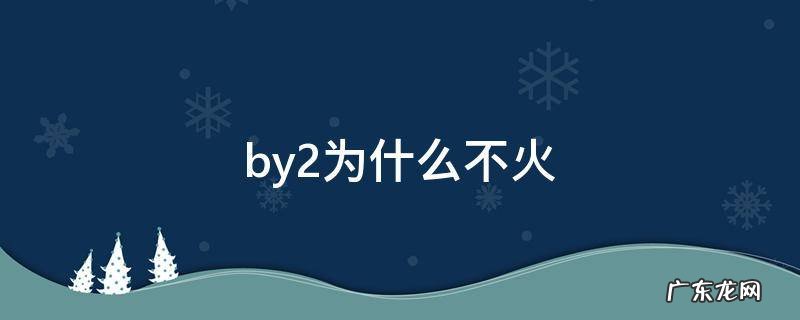 by2为什么不火 by2突然不火了的原因