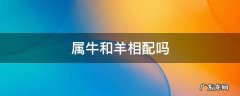属牛和羊相配吗婚姻 属牛和羊相配吗
