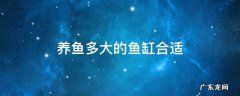 家庭养鱼多大的鱼缸合适 养鱼多大的鱼缸合适
