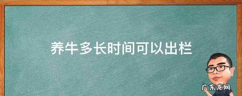 养牛多长时间可以出栏 养牛一般几个月可以出栏