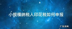 小规模纳税人印花税如何申报 小规模纳税人印花税如何申报缴纳