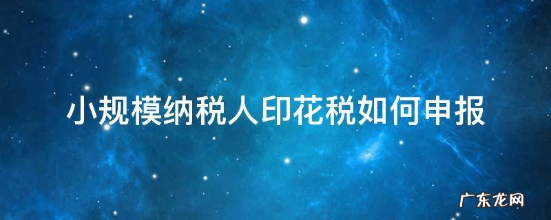 小规模纳税人印花税如何申报 小规模纳税人印花税如何申报缴纳