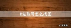 b站账号怎么找回手机邮箱改绑 B站账号怎么找回